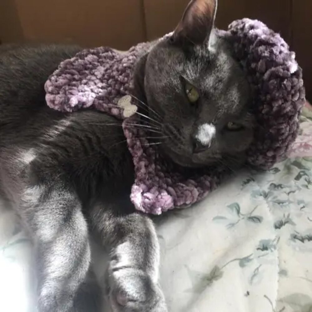 Furr-ocious Styles